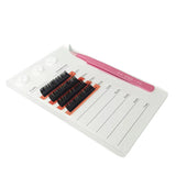 Lash Pallet